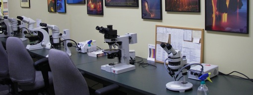 Our Kimberlite Lab